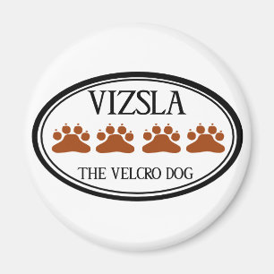 Aimant Vizsla L'aimant Velcro Dog