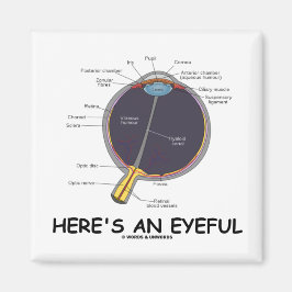 Aimant Voici un oeil attentif (Humour d'anatomie des yeux