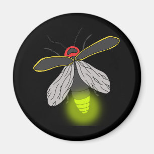 Aimant vol d'insecte de foudre allumé