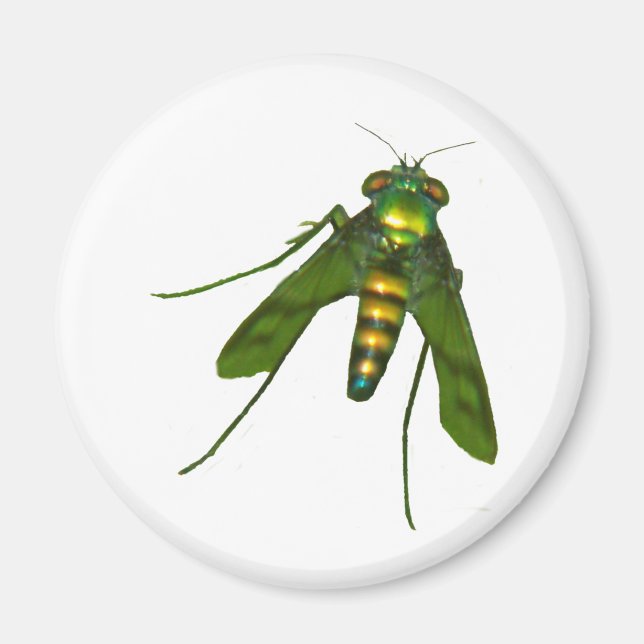 Aimant voler (Devant)