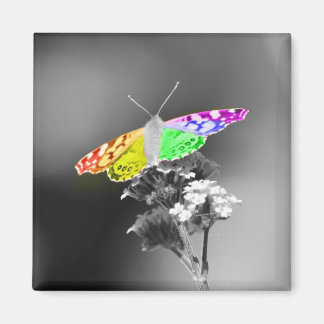 Aimant Voler avec fierté