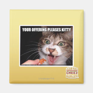 Aimant Votre Offre Plaise Kitty