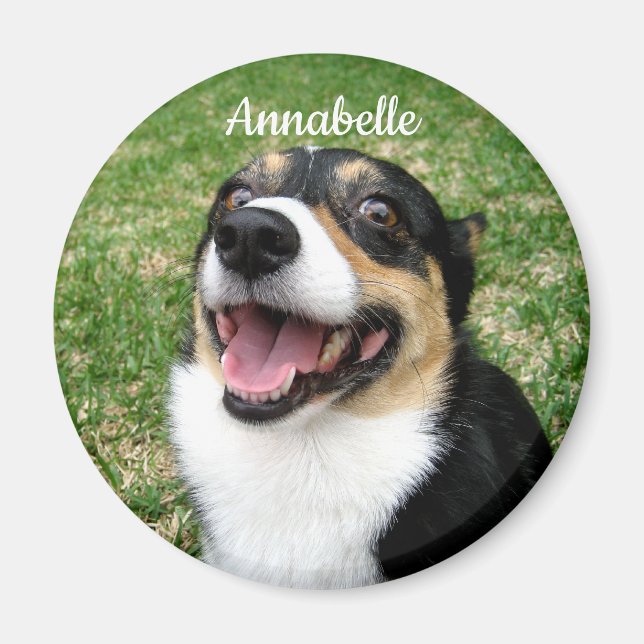 Aimant Votre photo personnalisée pour animaux de compagni (Devant)