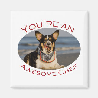 Aimant Vous êtes un chef génial