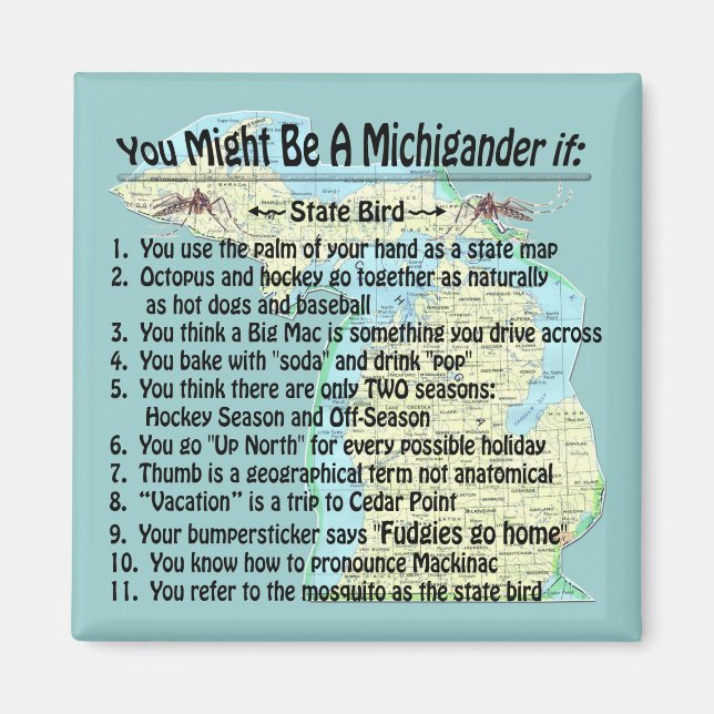 Aimant Vous Pourriez Être Un Michigander Si : (Devant)