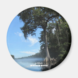 Aimant Voyage   Floride - Wacissa River Cypress