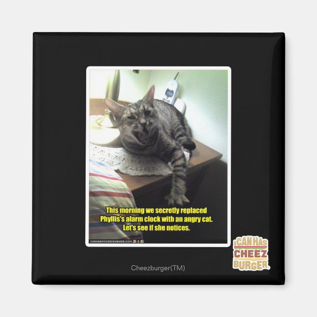 Aimant Voyons si elle le remarque. (Devant)