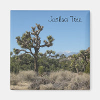 Vue Arborescence Joshua