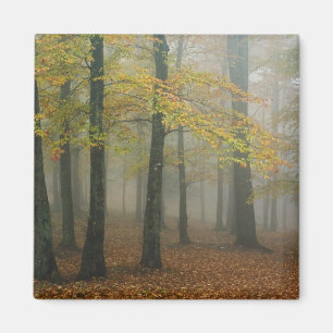 Aimant Vue automnale d'une forêt brumeuse, Grand-père 3