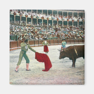 Aimant Vue d'un Matador environ pour massacrer le