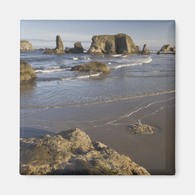 Aimant Vues côtières, Bandon, Oregon (Devant)