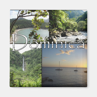 Aimant Vues de l'aimant dominicain