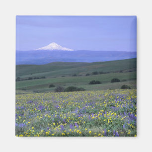 Aimant WA, comté de Klickitat, Dalles Mountain Ranch,