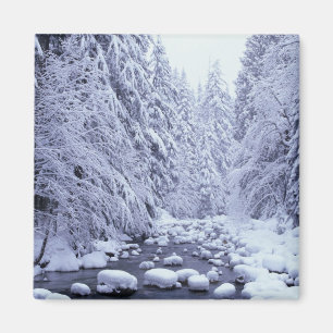 Aimant WA, forêt nationale du Mont Baker-Snoqualmie,