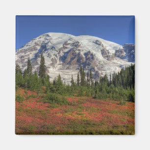 Aimant WA, Parc national du mont Rainier, Paradise Valley