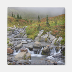 Aimant WA, Parc national du mont Rainier, ruisseau Edith