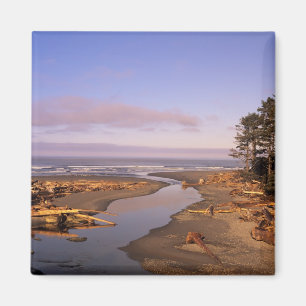 Aimant WA, parc national Olympique, Kalaloch Beach et Kal