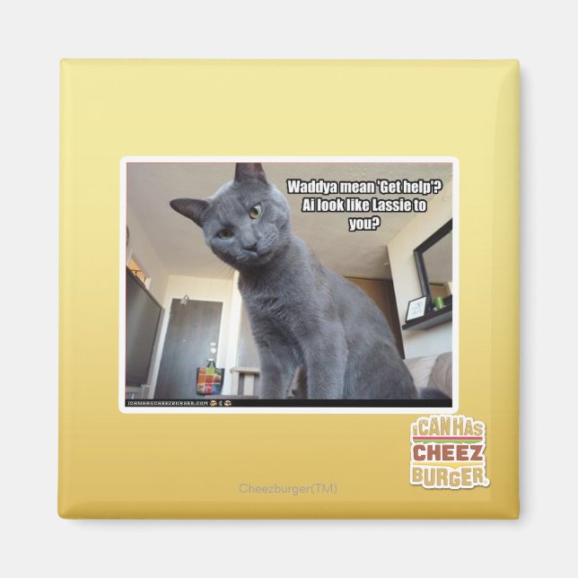 Aimant Wadya veut dire "Obtenez de l'aide" ? (Devant)