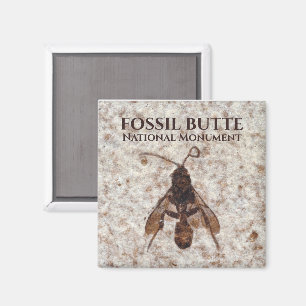 Aimant Wasp Fossil, Fossil Lake, Fossil Butte NM, Wyoming
