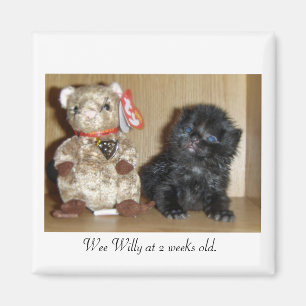 Aimant WEEWILLYvs4inchBB-1, Wee Willy à 2 semaines.