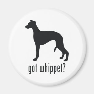 Aimant Whippet
