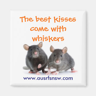 Aimant Whisker Kisses (rat)