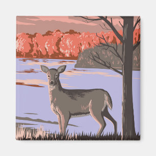 Aimant White Tailed