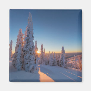 Aimant Whitefish, Montana