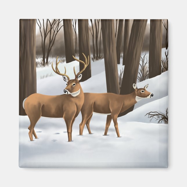 Aimant Whitetail Deer (Devant)