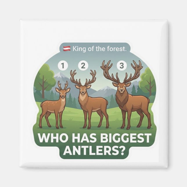Aimant Who Has Biggest Antlers? Red Deer Austria Animal  (Devant)