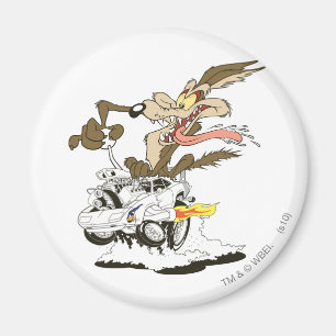Aimant Wile E. Coyote Crazy Glance