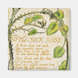 Aimant William Blake   le rose malade, des chansons