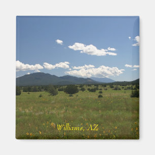 Aimant Williams AZ