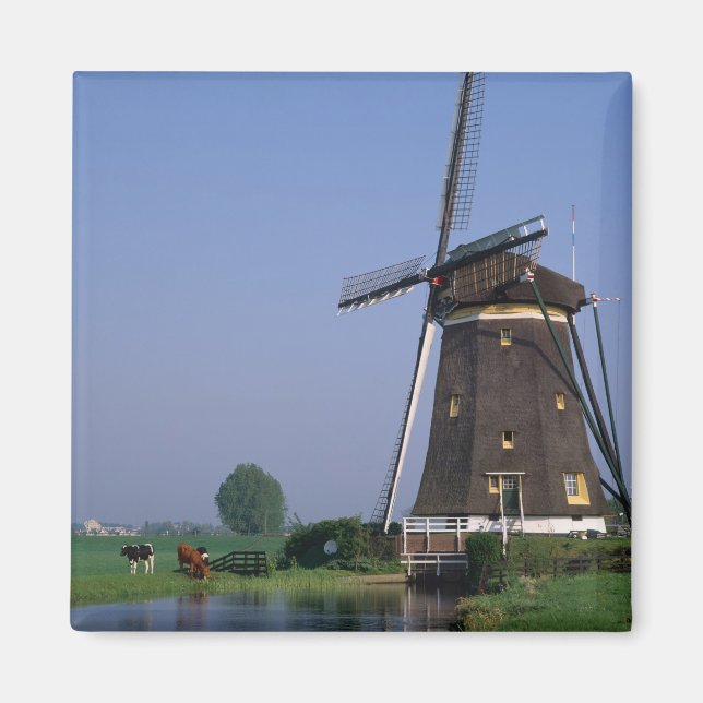 Aimant Windmills, Leidschendam, Pays-Bas (Devant)