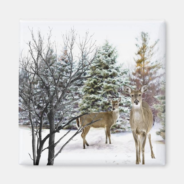 Aimant Winter Wonderland avec Whitetail Deer Fridge (Devant)