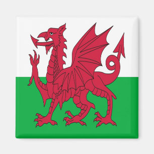 Aimant WLS001 WALES à galets, réfrigérateur