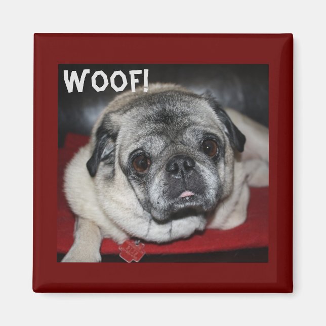 Aimant Woof, Carlin magnétique (Devant)