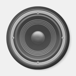 Aimant Woofer