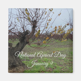 Aimant World2Celebrate : Journée nationale des abricots