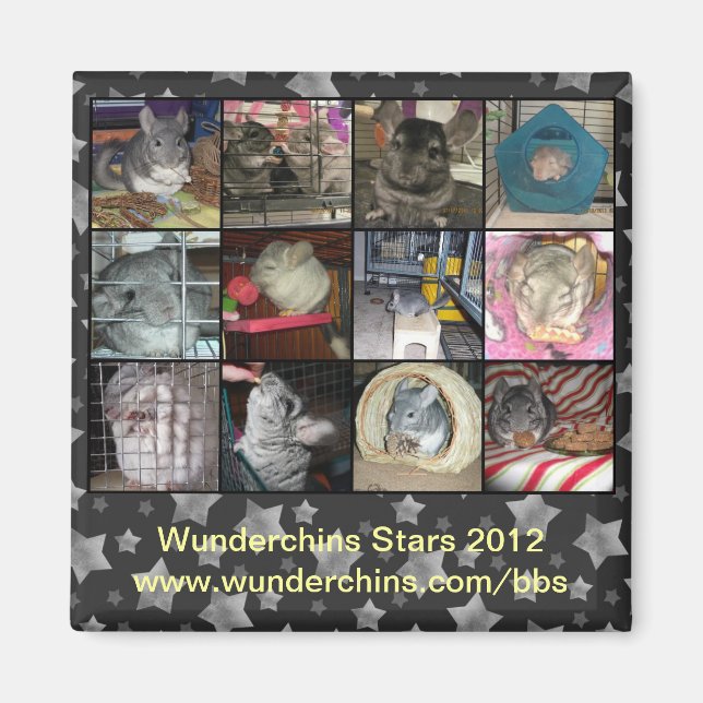 Aimant Wunderchins 2012 (Devant)