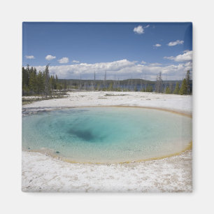 Aimant WY, parc national de Yellowstone, West Thumb Geyse