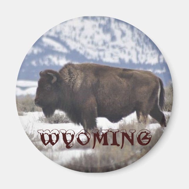 Aimant Wyoming (Devant)