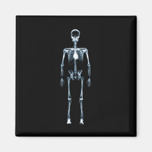 Aimant X-Ray Vision Blue Single Skeleton