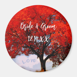 Aimant Y'a de l'amour dans l'air ...