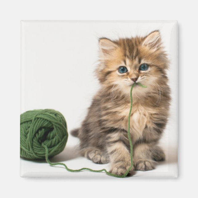 Aimant Yarn vert de Kitten (Devant)