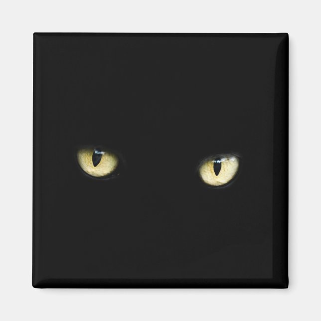 Aimant Yeux de chat noir | Macro oeil chat (Devant)