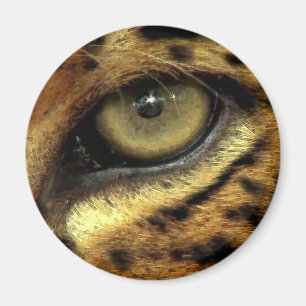Aimant YEUX DE L'Aimant Rond JAGUAR