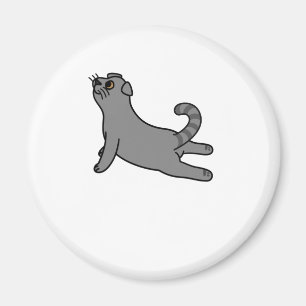 Aimant Yoga Pose Scottish Fold Chat