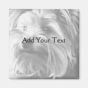 Aimant Yorkshire Terrier noir et blanc Yorkie