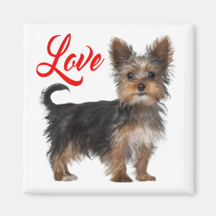 Aimant Yorkshire Terrier Puppy Dog Red Love